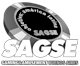 2011年SAGSE阿根廷南美洲電玩展